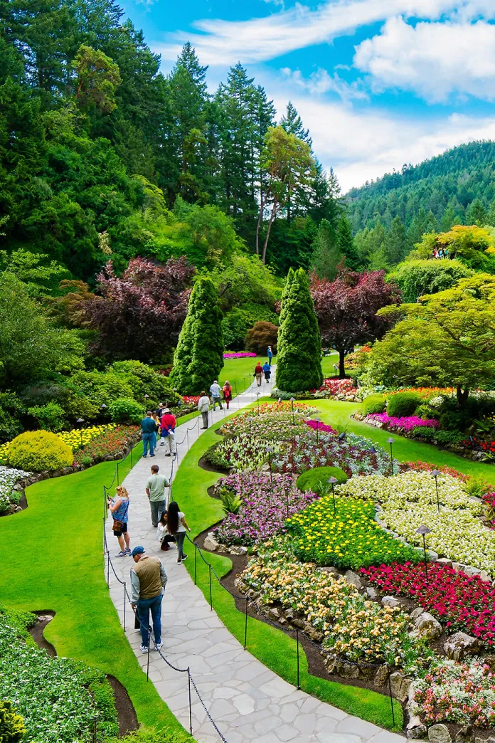 People walking a path through beautiful green trees